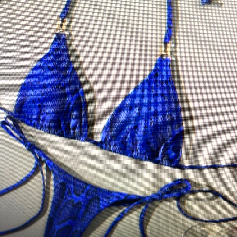 Blue Snake Print Bikini